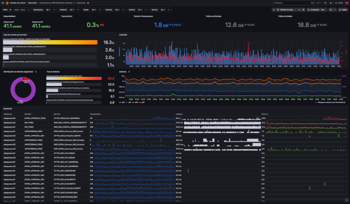 Grafana dashboard de IBM DataPower
